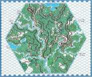 Forest Map 001